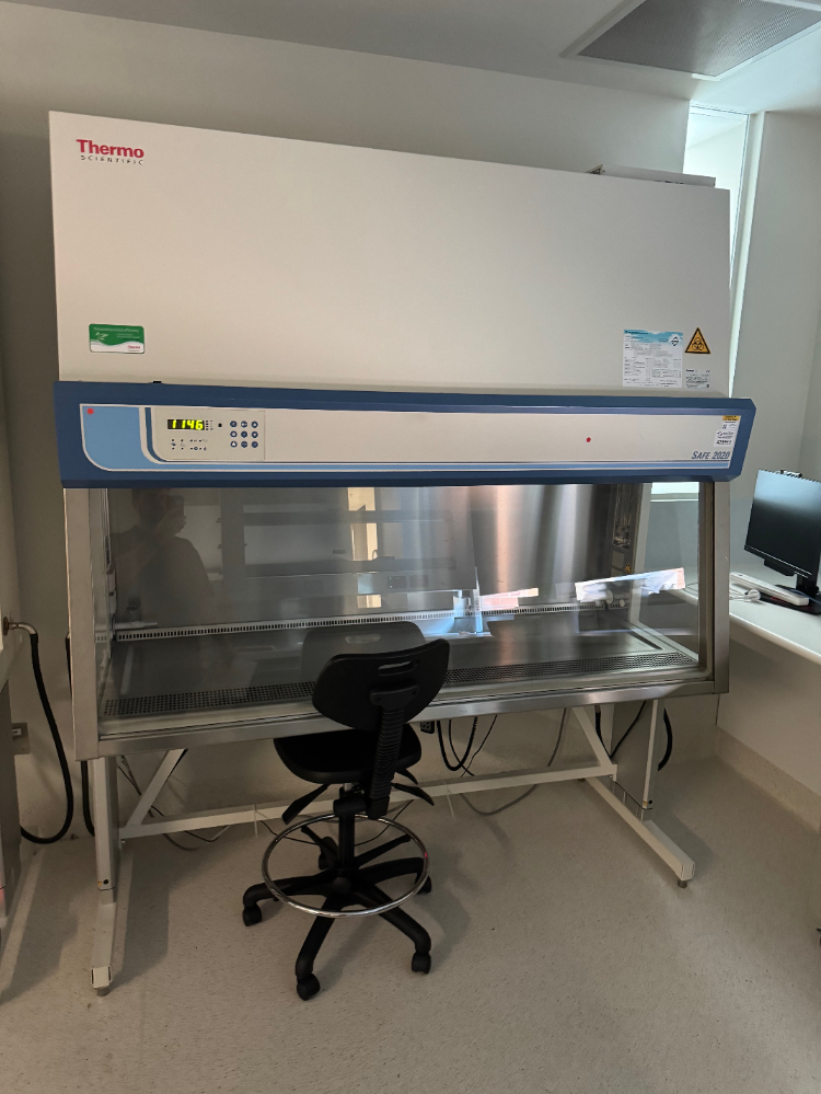 Image of Thermo Safe 2020 6' BioSafety Cabinet